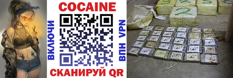 COCAIN FishScale  купить закладку  Ершов 
