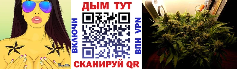 МАРИХУАНА сатива  Ершов 